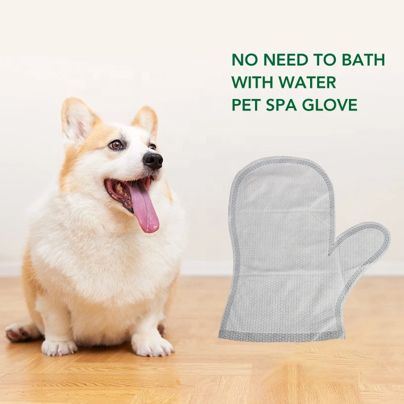 Eco-friendly pet wipes factory
