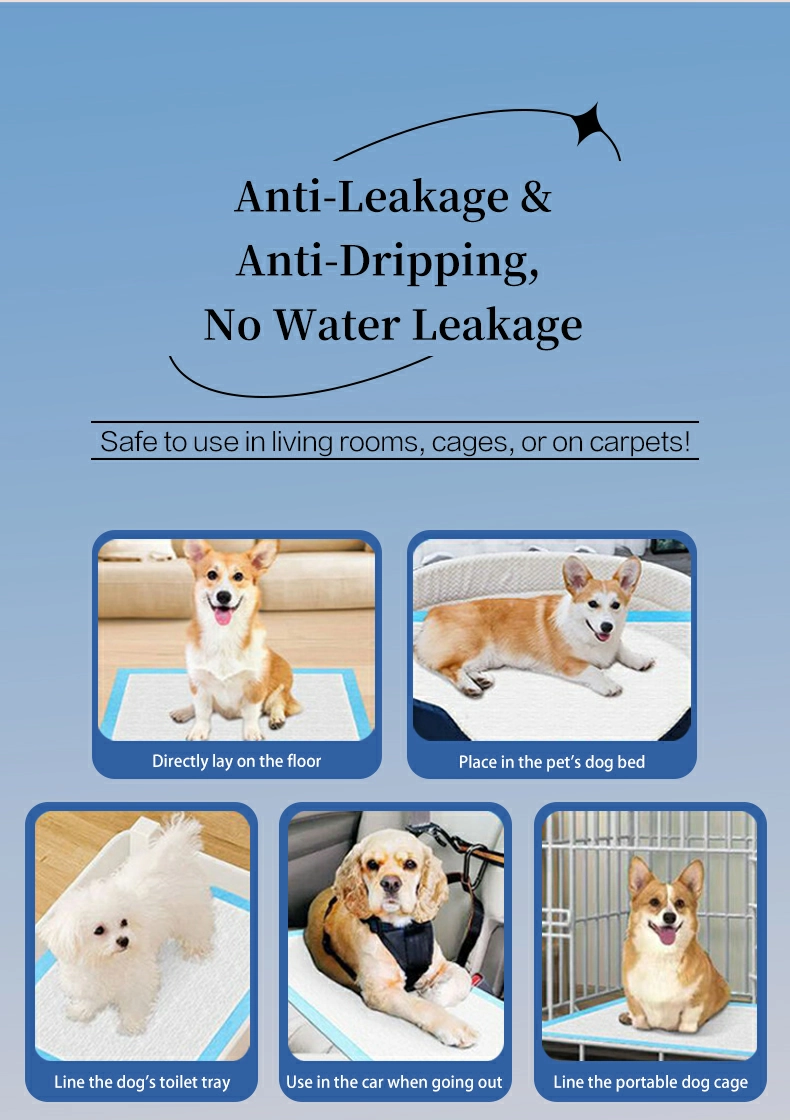 Dog training pad with attractant scent