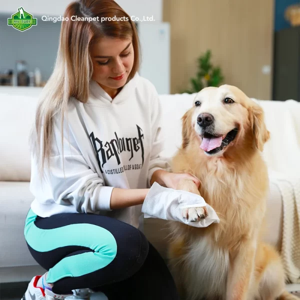 disposable pet gloves