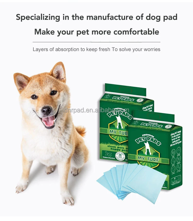 disposable pet training pad