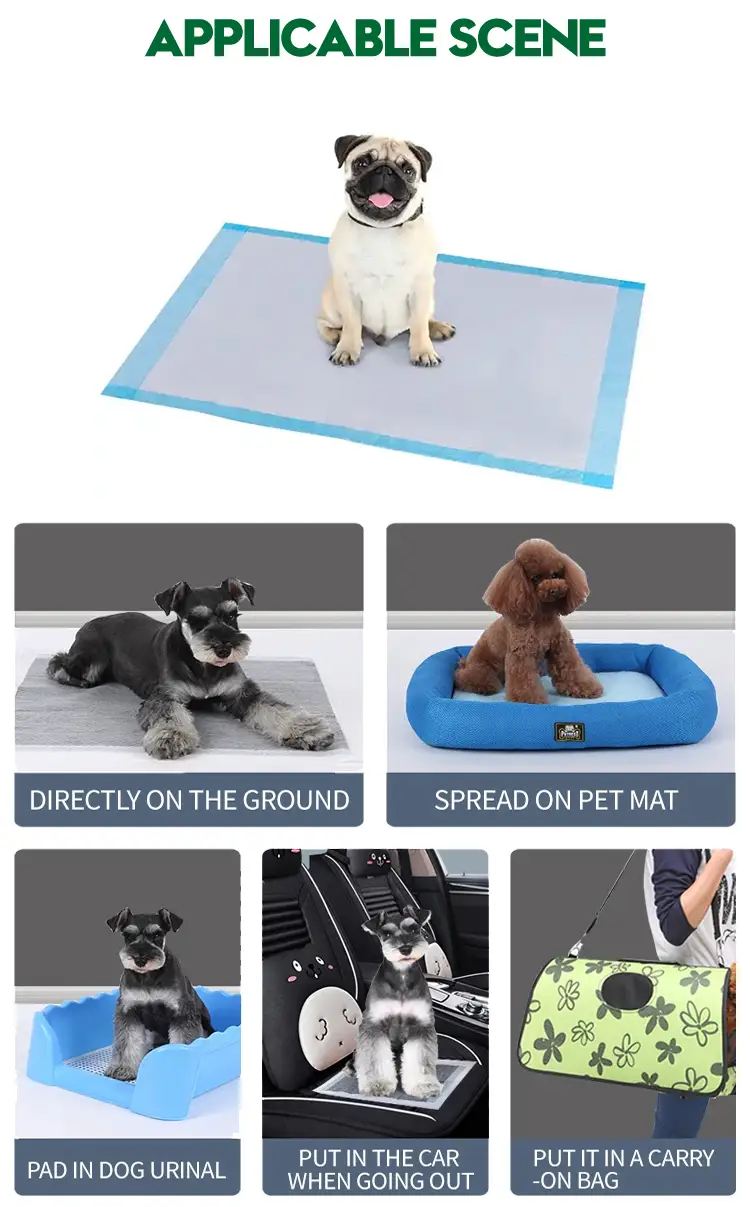 pet training pad applicable scene