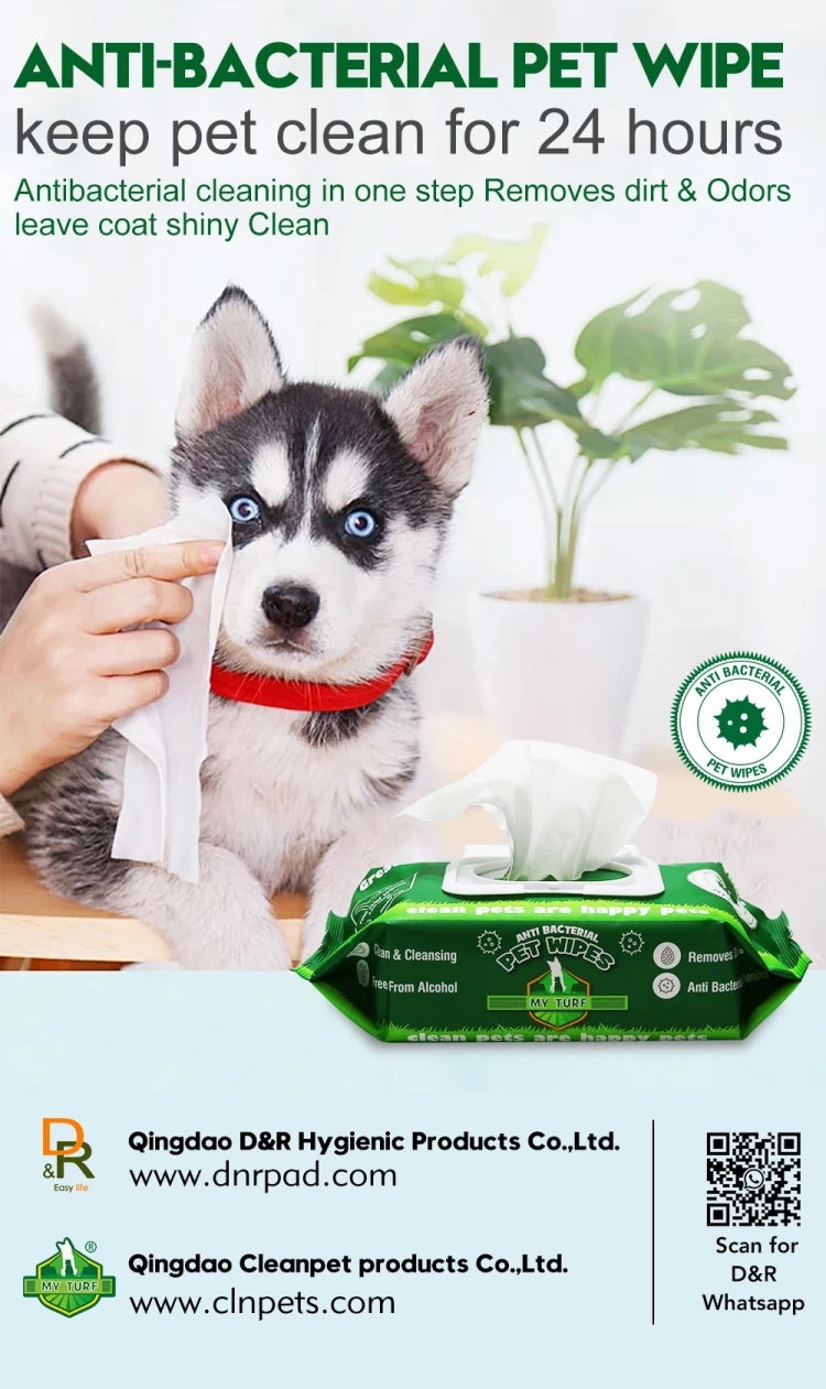 anti bacteria pet wipe keep pet clean for 24 hours