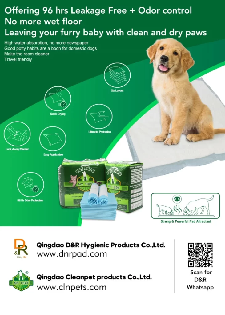 disposable dog training pad