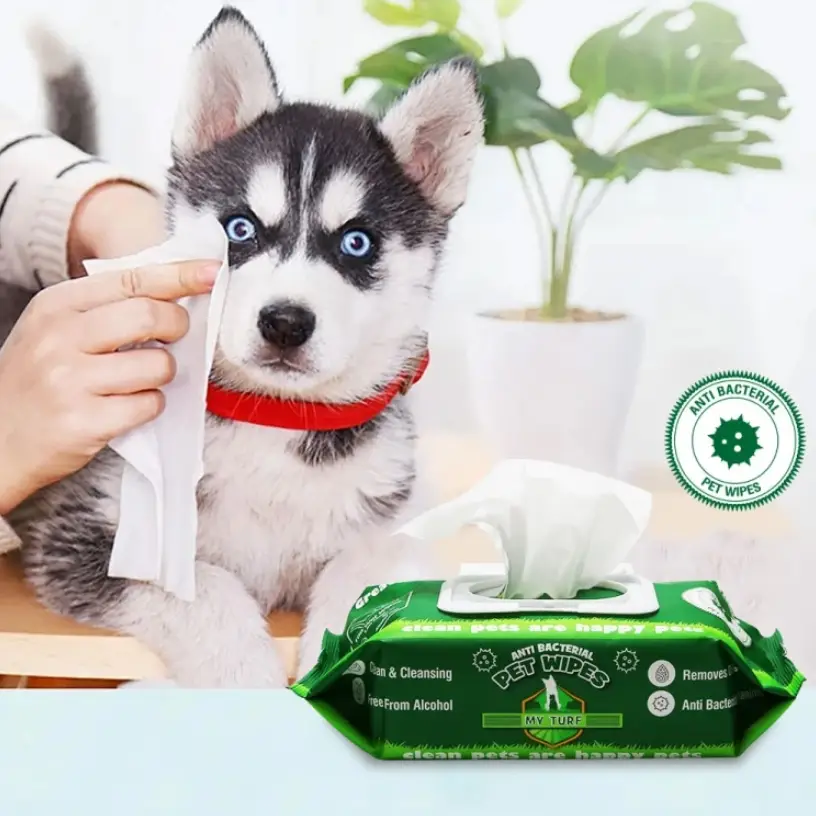 pet wipe