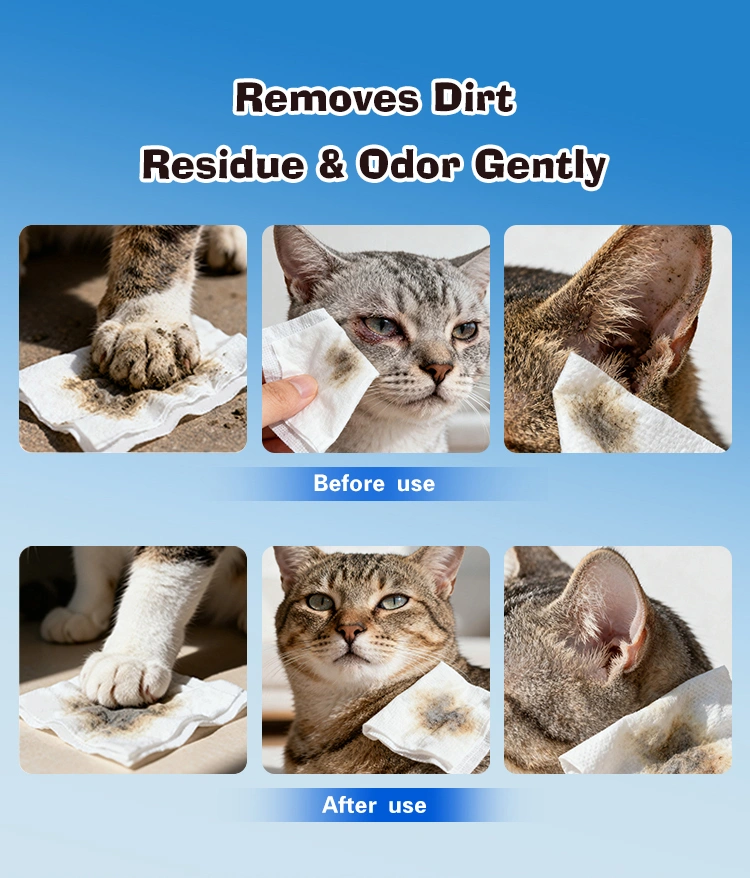 Close-up of dog’s face being cleaned with flushable wipe