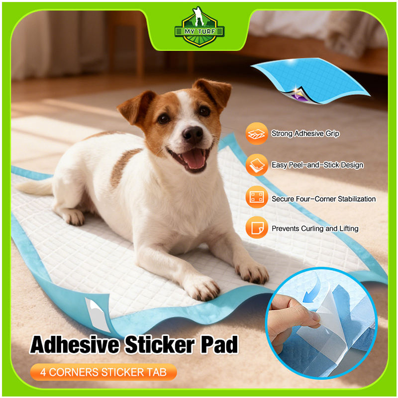 Adhesive Sticker Pet Pee Pads
