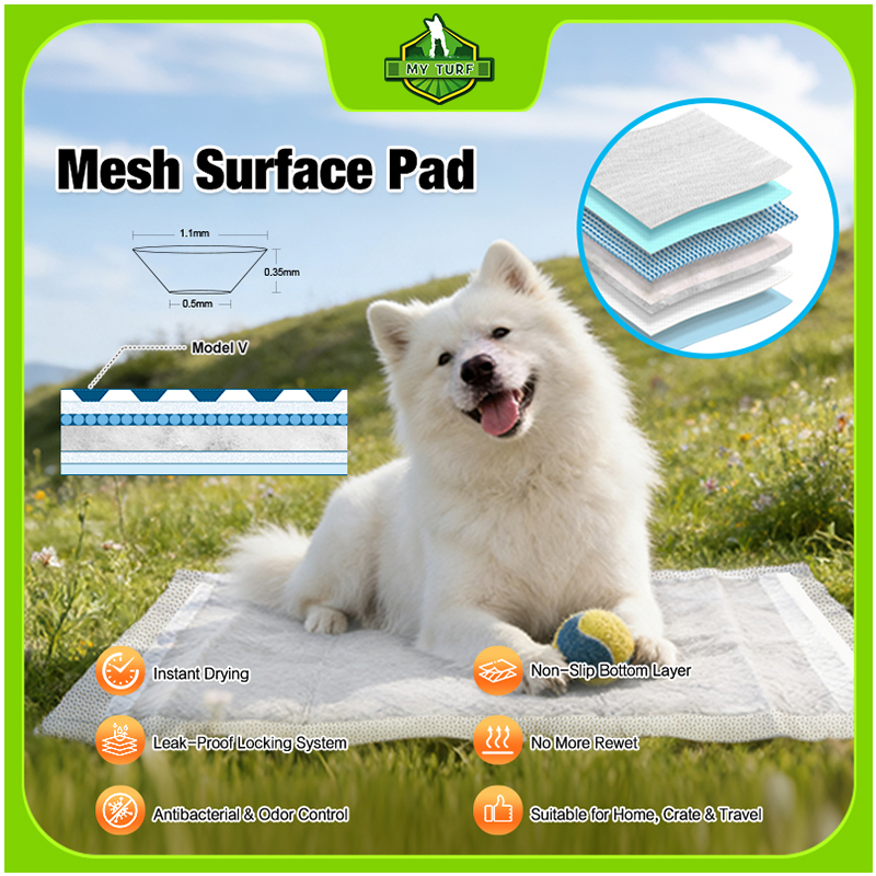 Disposable Pet Mesh Surface Urine Pad