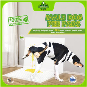 Male Dog Pee Pad
