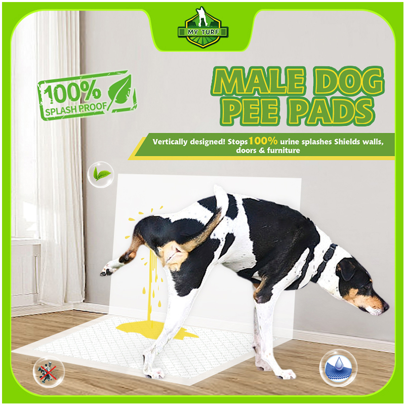Male Dog Pee Pad