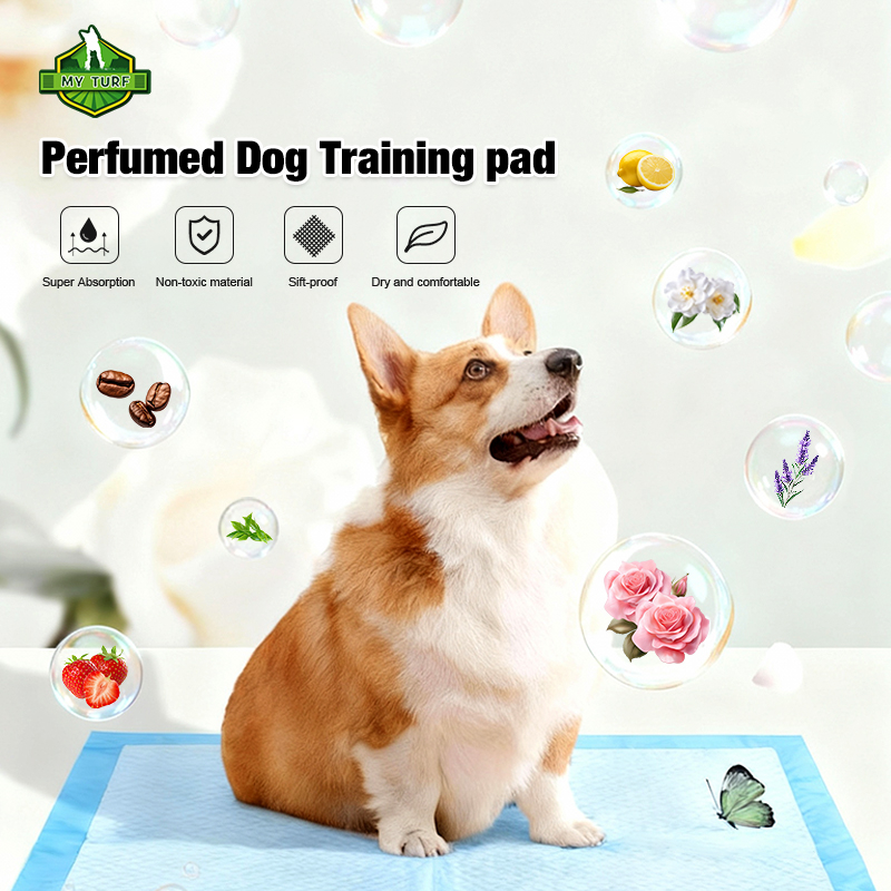 Perfumed Dog Training Pee Pad
