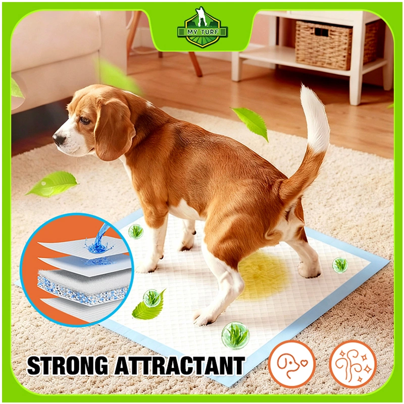Strong Attractant Pet Pee Pads