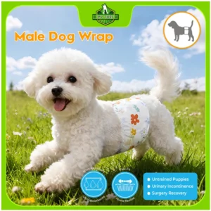 Male Dog Wrap