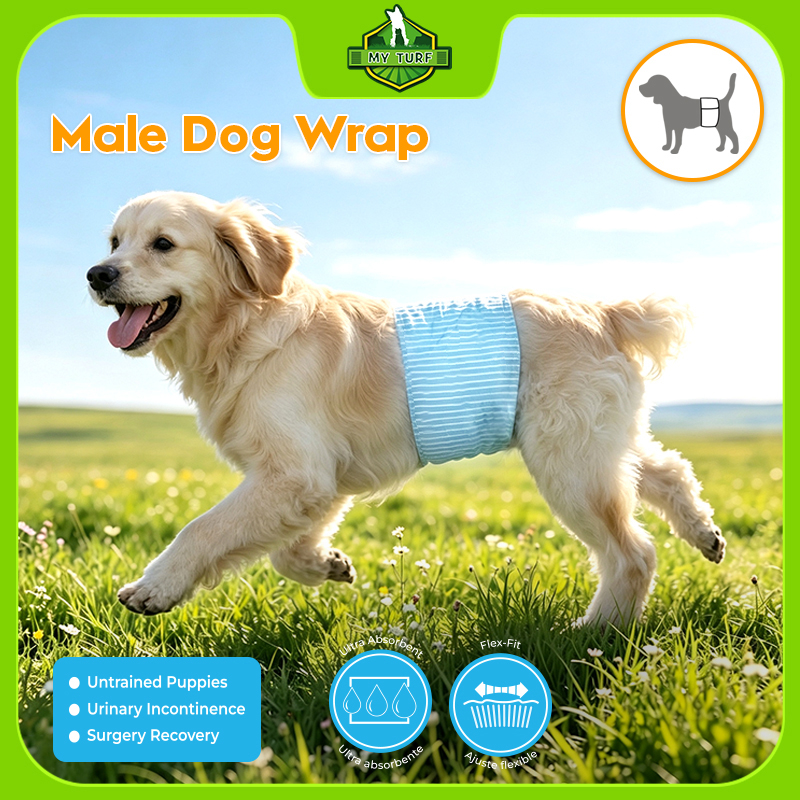 Male Dog Wrap